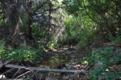 DPP_0142.jpg